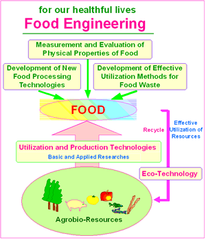食品および食品製造技術に関する研究