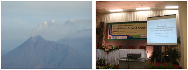 左：噴火が沈静したマラウィー山（火山の噴火でシンポジウムの開催が危ぶまれた。飛行機より撮影） 右：シンポ開催会場