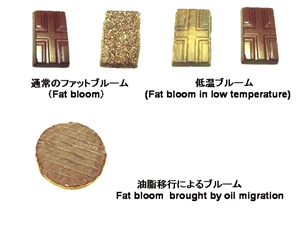 チョコレート油脂（ココアバター）の物理化学的変化による品質の劣化現象（ファットブルーム現象）