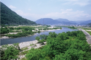 河川への有機炭素供給源である河畔植生